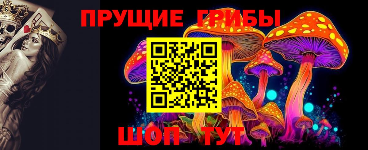 Псилоцибиновые грибы MAGIC MUSHROOMS Камышин
